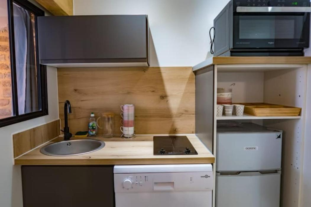 Appartement Sur Les Toits 2 Pieces Cocooning Γκρενόμπλ Εξωτερικό φωτογραφία